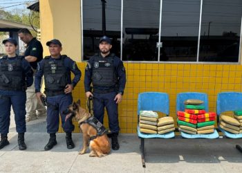 Polícia encontra 30 quilos de c0caína em ônibus que saiu de Manaus para Porto Velho