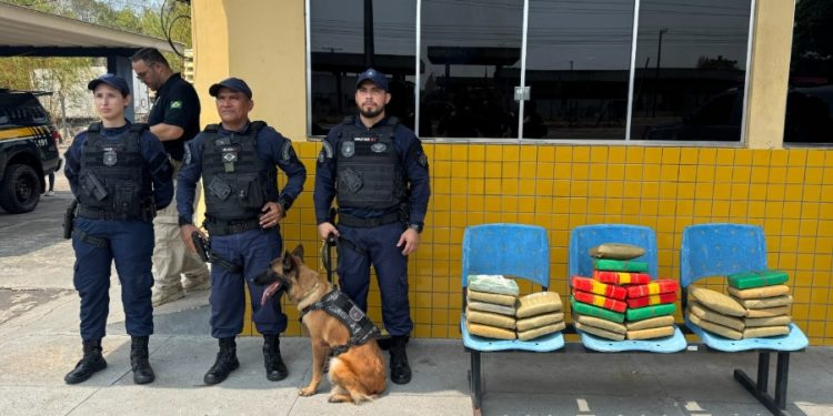 Polícia encontra 30 quilos de c0caína em ônibus que saiu de Manaus para Porto Velho