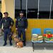 Polícia encontra 30 quilos de c0caína em ônibus que saiu de Manaus para Porto Velho