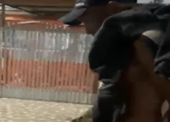 Cinco homens são suspeitos de e$tupr0 coletivo de menina indígena no interior do AM