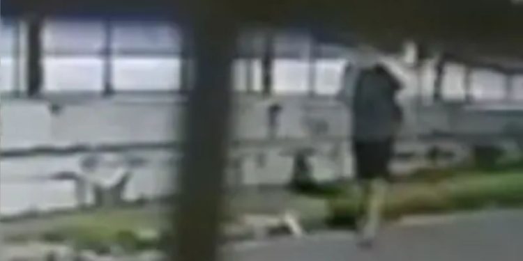 Em Itacoatiara, homem invade igreja e furta dez microfones, equipamentos de som, cabos e ferro de passar