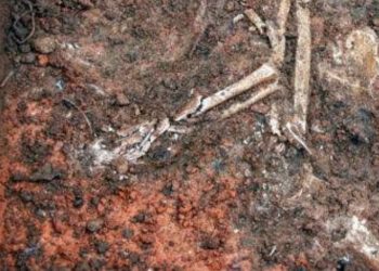 Ossada humana é encontrada em terreno em Carauari