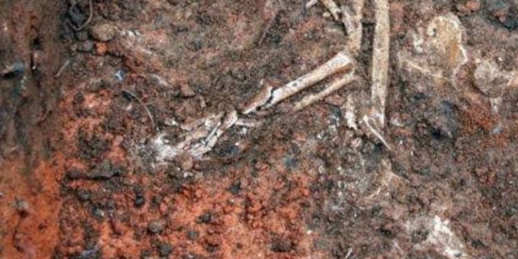 Ossada humana é encontrada em terreno em Carauari
