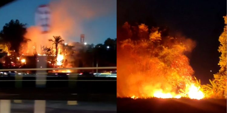 Vídeo: Incêndio atinge mata próxima ao Hospital Delphina Aziz e espalha fumaça pela Zona Norte de Manaus