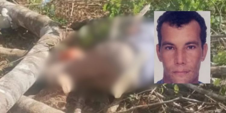 Homem sai para cortar árvores e é encontrado m0rt0 sob galhos horas depois no interior do AM
