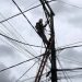 Manaus dispara no consumo de energia, bate recorde histórico e se aproxima dos 2 mil MW