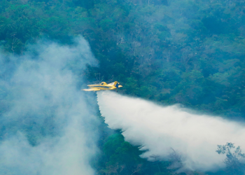 Aeronaves federais lançam mais de 1 milhão de litros de água no combate aos incêndios no Amazonas