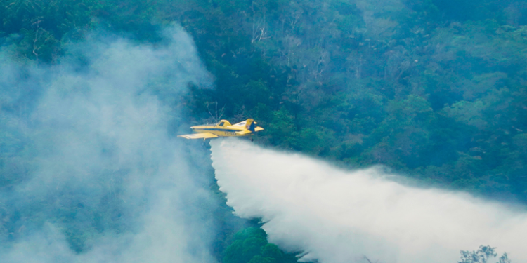 Aeronaves federais lançam mais de 1 milhão de litros de água no combate aos incêndios no Amazonas