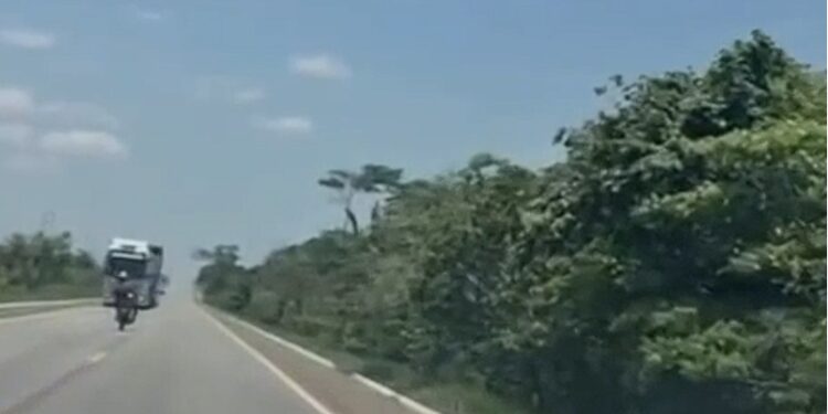 Vídeo: veja momento em que motociclista m0rre atingido por caminhão na estrada
