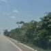 Vídeo: veja momento em que motociclista m0rre atingido por caminhão na estrada
