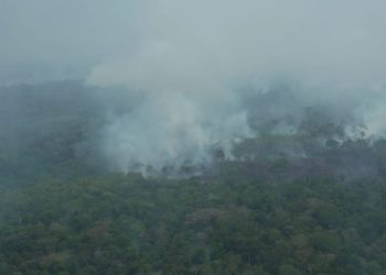 Ipaam aplica multas milionárias por poluição do ar em municípios do Amazonas