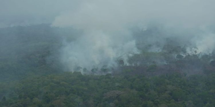 Ipaam aplica multas milionárias por poluição do ar em municípios do Amazonas