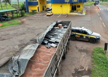PRF apreende 6,3 toneladas de mac0nha e quatro fuz1s escondidos em carga de sorgo em caminhão