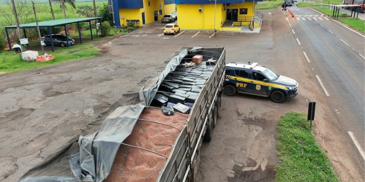 PRF apreende 6,3 toneladas de mac0nha e quatro fuz1s escondidos em carga de sorgo em caminhão