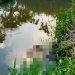 Vídeo mostra homem amarrad0, mort0 e de bruços na área do “Final Feliz” em Manaus