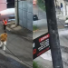 Vídeos: Cr1m1n0s0s saem c0rrend0 após sequência de arrastã0 pelo bairro Flores