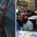 Vídeo: mesmo caída no chão, gerente de loja s0fre agressã0 durante assalt0 em Manaus