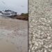 Pescadores filmam milhares de peixes m0rtos em meio à seca no interior do Amazonas