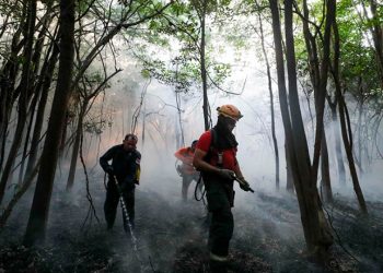 Bombeiros, PM do Amazonas e agentes do IPAAM entram em ação concentrada contra queimadas