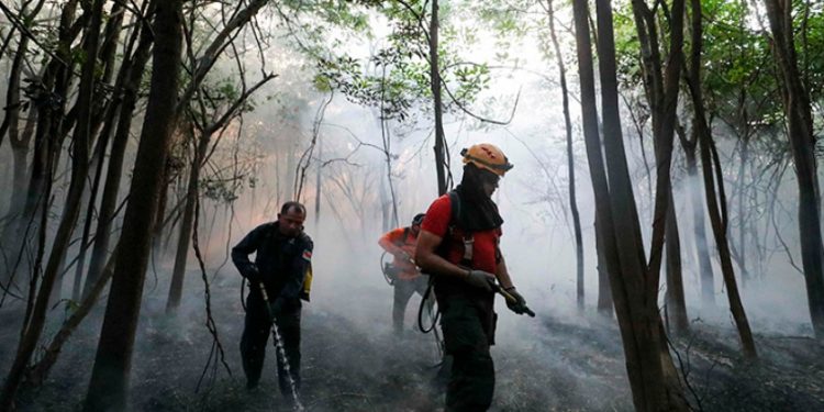 Bombeiros, PM do Amazonas e agentes do IPAAM entram em ação concentrada contra queimadas