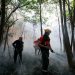 Bombeiros, PM do Amazonas e agentes do IPAAM entram em ação concentrada contra queimadas