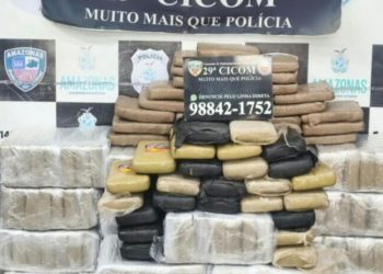 Polícia do Amazonas intercepta caminhão com 198 tabletes de skunk na ZL