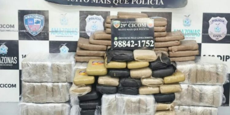 Polícia do Amazonas intercepta caminhão com 198 tabletes de skunk na ZL