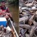 Vídeo: homem joga malhadeira e pesca fartura de bodó no interior do Amazonas