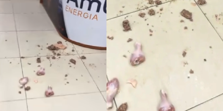 Vídeo: Mulher joga carne e frango na recepção da Âmbar Energia após alimentos estragarem por falta de luz
