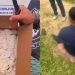 Polícia de Santa Catarina prende suspeit0 ligado ao tráfic0 e a homicídi0s no Amazonas