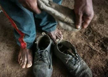 “Lista suja” do trabalho escravo no Brasil é atualizada e inclui Amazonas no mapa do terror