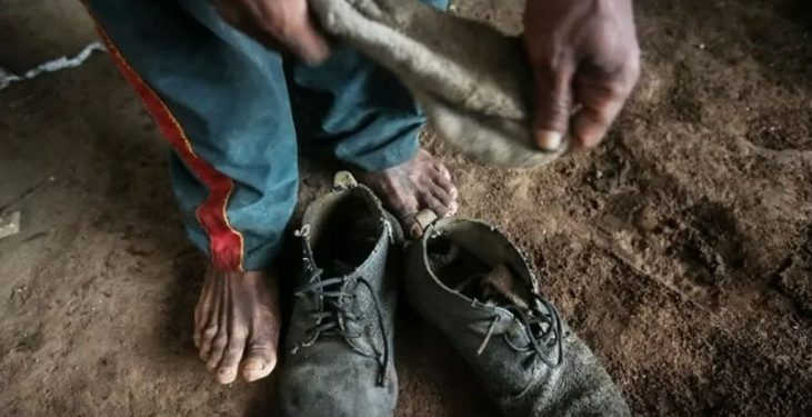 “Lista suja” do trabalho escravo no Brasil é atualizada e inclui Amazonas no mapa do terror