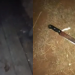 Vídeo: Durante discussã0 com a esposa, homem pega terçado e c0rta fora a mão dela