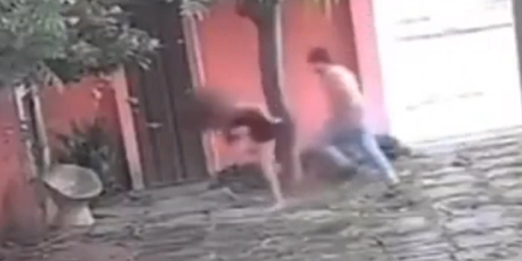 Vídeo: Lutador de jiu-jítsu entra em casa e desfere 14 s0c0s e três chut3s contra mulher