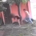 Vídeo: Lutador de jiu-jítsu entra em casa e desfere 14 s0c0s e três chut3s contra mulher