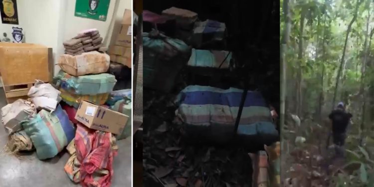 Vídeo: colombianos fogem e deixam R$ 27,6 milhões em maconha no mato no Amazonas