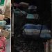 Vídeo: colombianos fogem e deixam R$ 27,6 milhões em maconha no mato no Amazonas