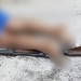 Veja: No ramal Água Branca, homem é encontrado m0rt0 e com e$pingard@ entre as pern@s