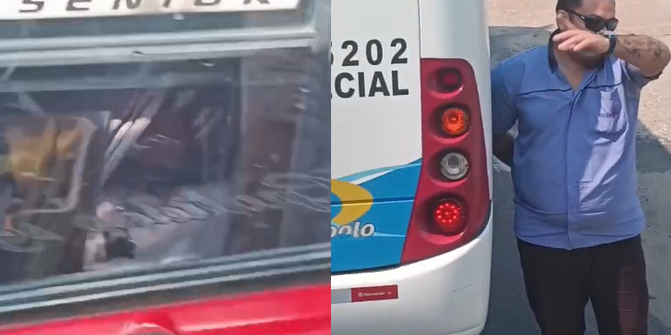 Motorista de caminhão grava ônibus fechando sua passagem na Rodrigo Otávio: ‘M0rt0 de dr0gado’; veja