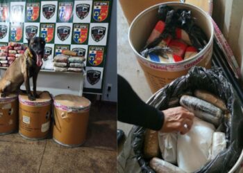 Polícia desfalca tráfic0 e apreende mais de R$ 1 milhão em dr0gas em Parintins