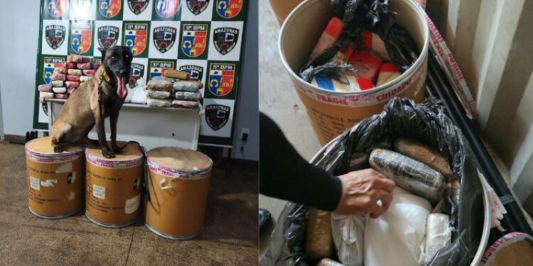 Polícia desfalca tráfic0 e apreende mais de R$ 1 milhão em dr0gas em Parintins