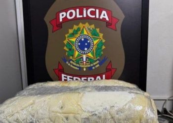 Mulher sai de Manaus com destino à Fortaleza mas é presa em Recife com 34 Kg de mac0nha