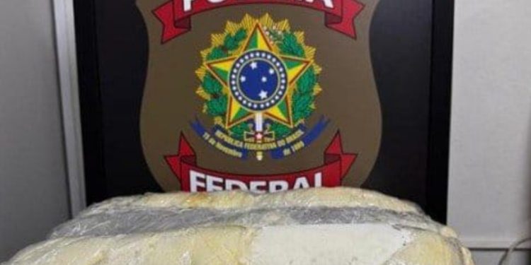 Mulher sai de Manaus com destino à Fortaleza mas é presa em Recife com 34 Kg de mac0nha
