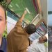Governador Roberto Cidade convoca Comitê e amplia ações contra incêndios: ‘estamos trabalhando’