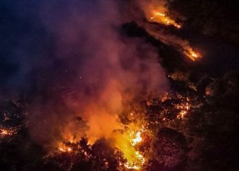 Incêndio cr1m1noso devasta mais de 3 mil hectares em território Mura em Itacoatiara há mais de um mês