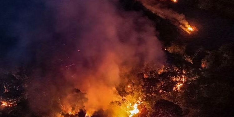 Incêndio cr1m1noso devasta mais de 3 mil hectares em território Mura em Itacoatiara há mais de um mês