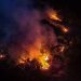 Incêndio cr1m1noso devasta mais de 3 mil hectares em território Mura em Itacoatiara há mais de um mês