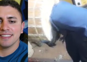Vídeo forte: técnico em reparos m0rre sugado por máquina de ralar mandioca