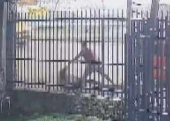 Vídeo: Mulher é arrancada de carro pelos cabelos e agr3dida por motorista de aplicativo