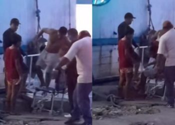 Homem sofre duas picadas de cobra durante trabalho na zona rural de Maués